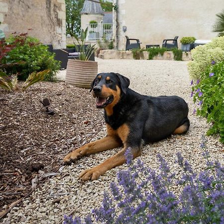 Manoir De La Mazeraie, Ideal Pour Le Teletravail Joué-lés-Tours Luaran gambar